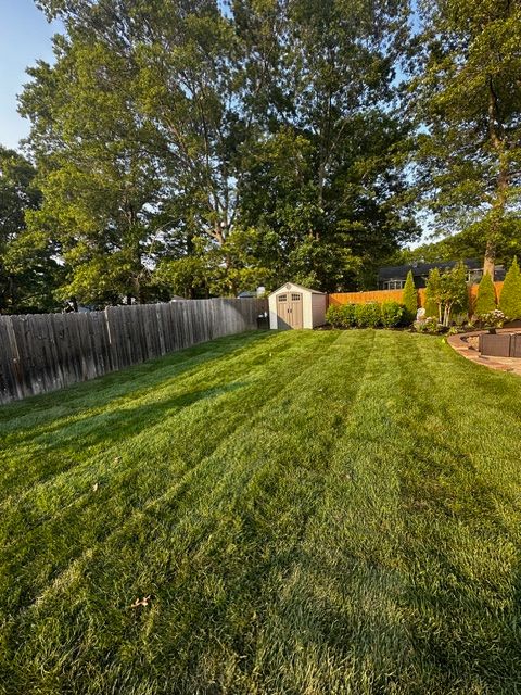 Synthetic Turf & Sod Installation