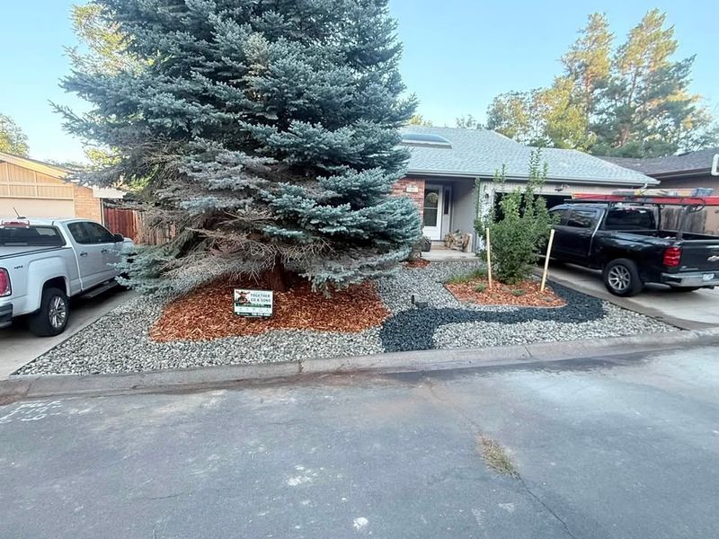 Landscape Design