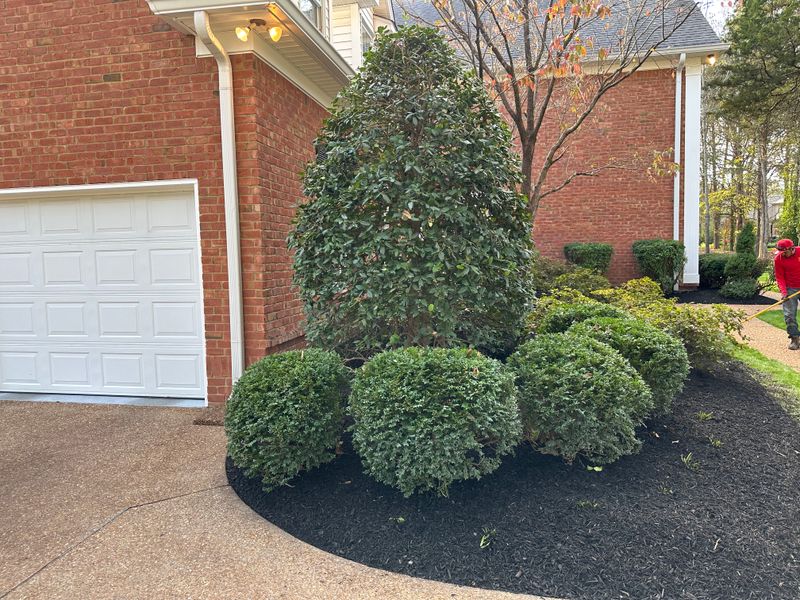 Landscaping