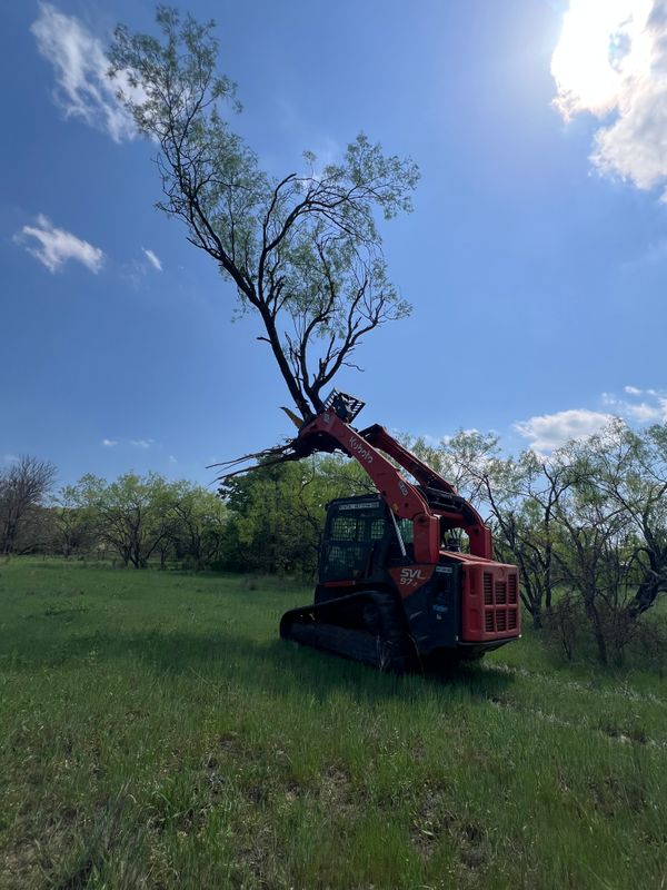 Land Clearing