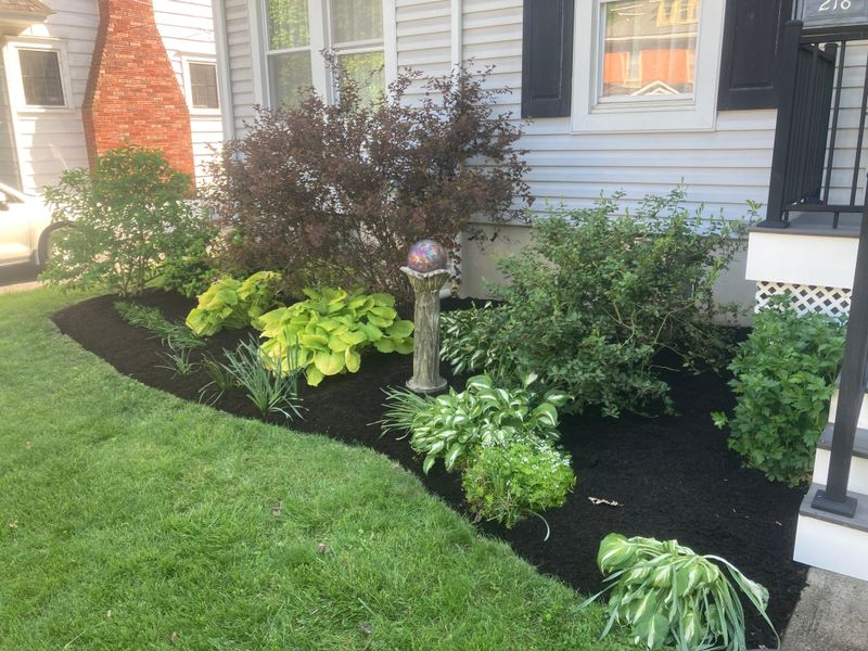 Landscape Design
