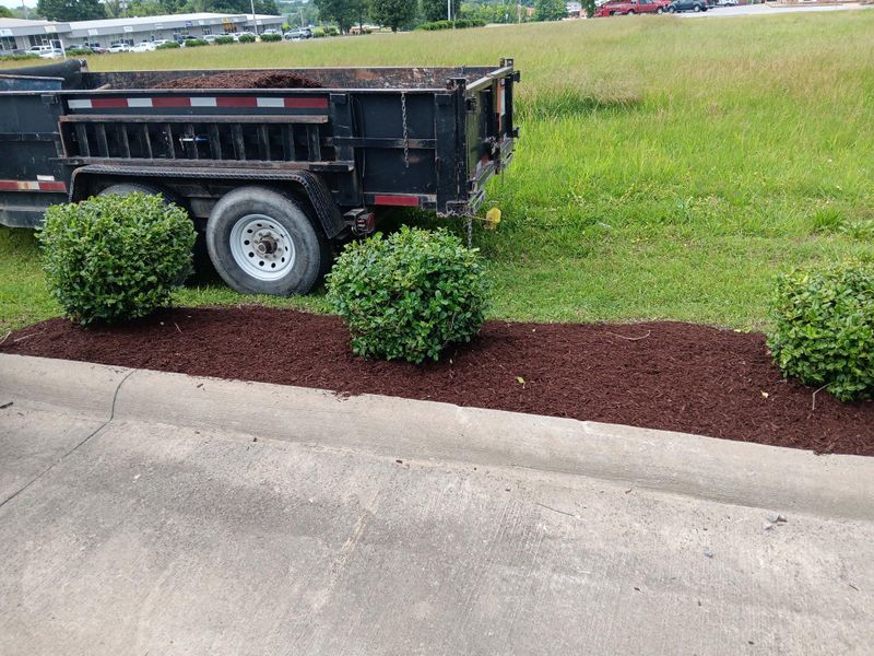 Mulch Installation