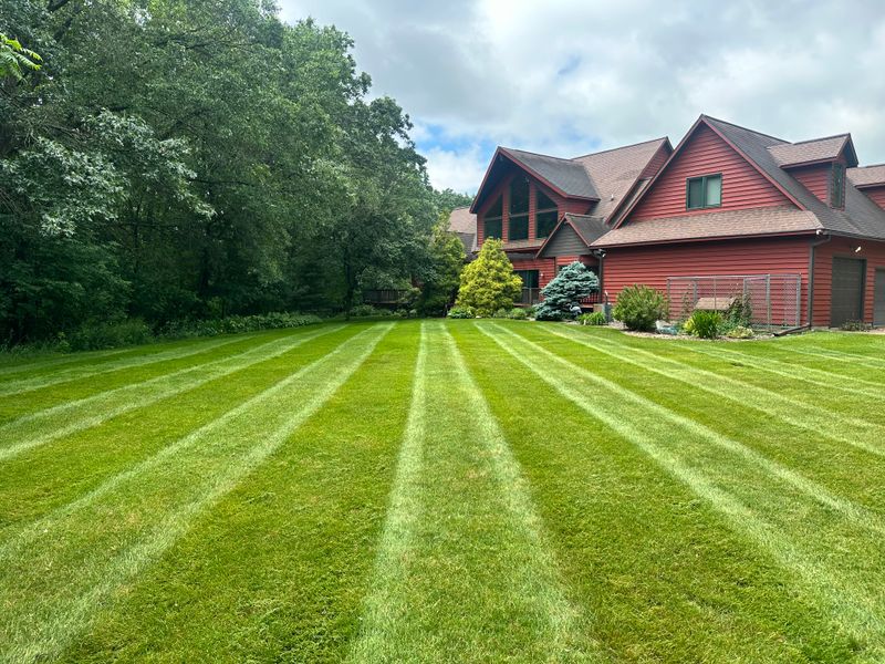 Lawn Maintenance