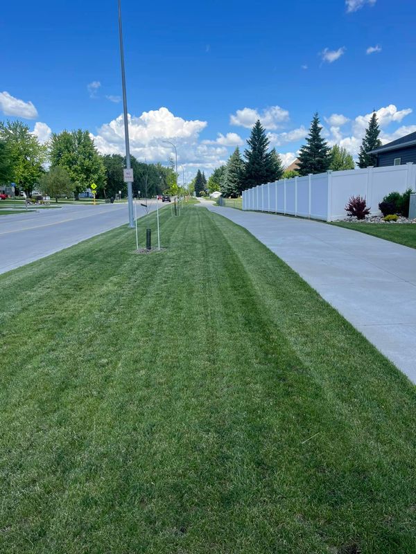 Lawn Maintenance