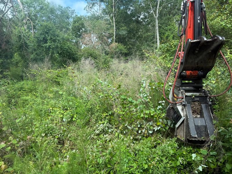 Land Clearing