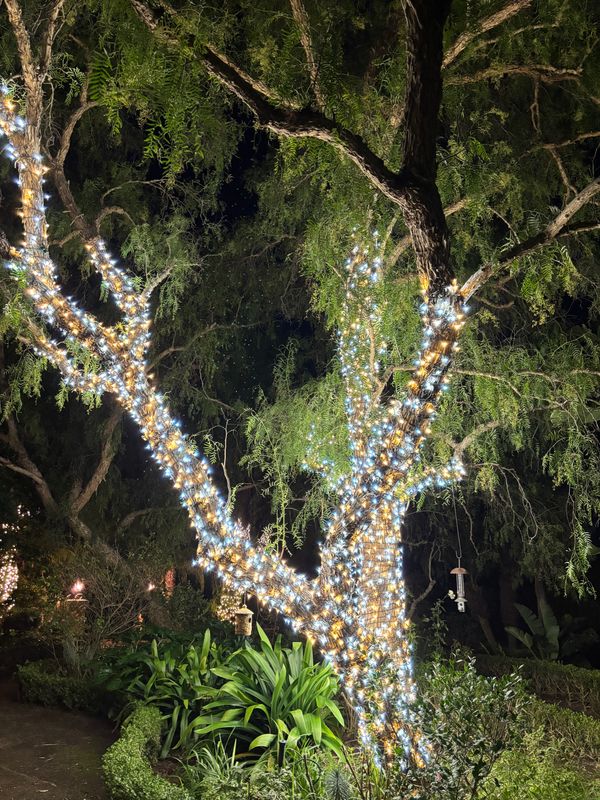 Holiday Lighting gallery