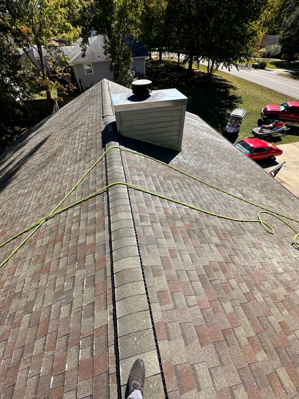 Roof Cleaning