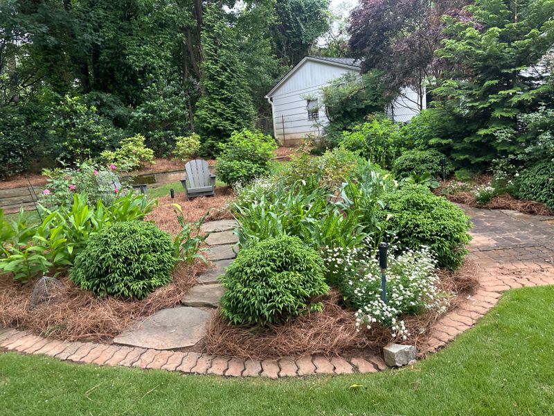 Landscape Design
