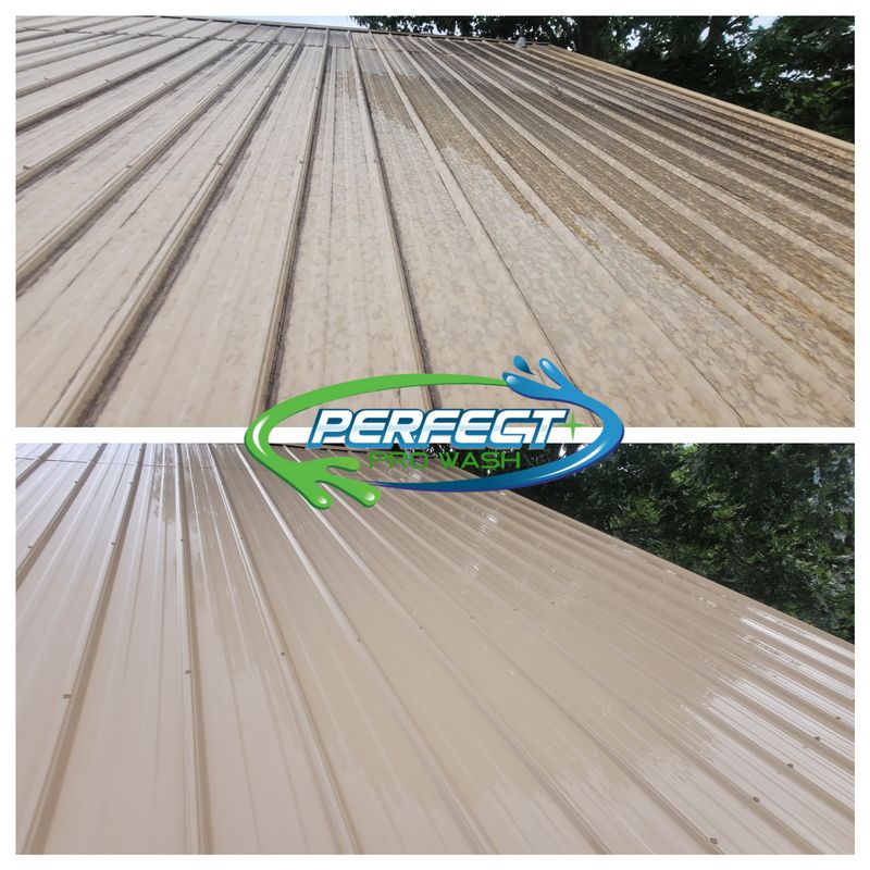 Roof Cleaning