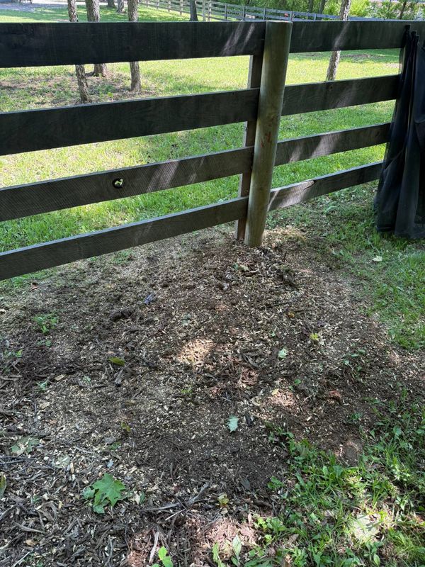Stump Grinding