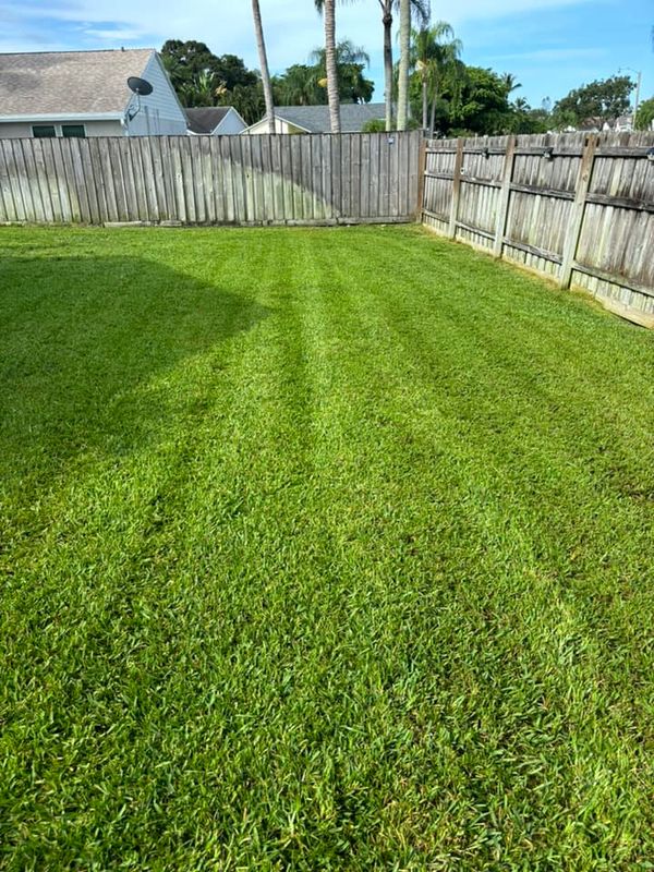 Lawn Care