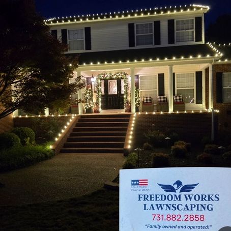 Christmas Light Installation