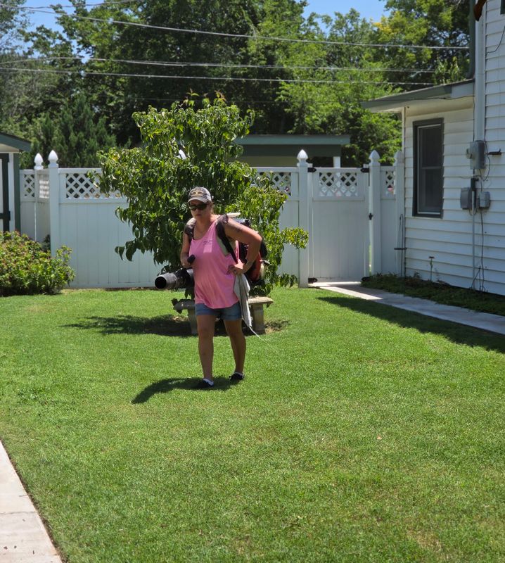 Lawn Maintenance