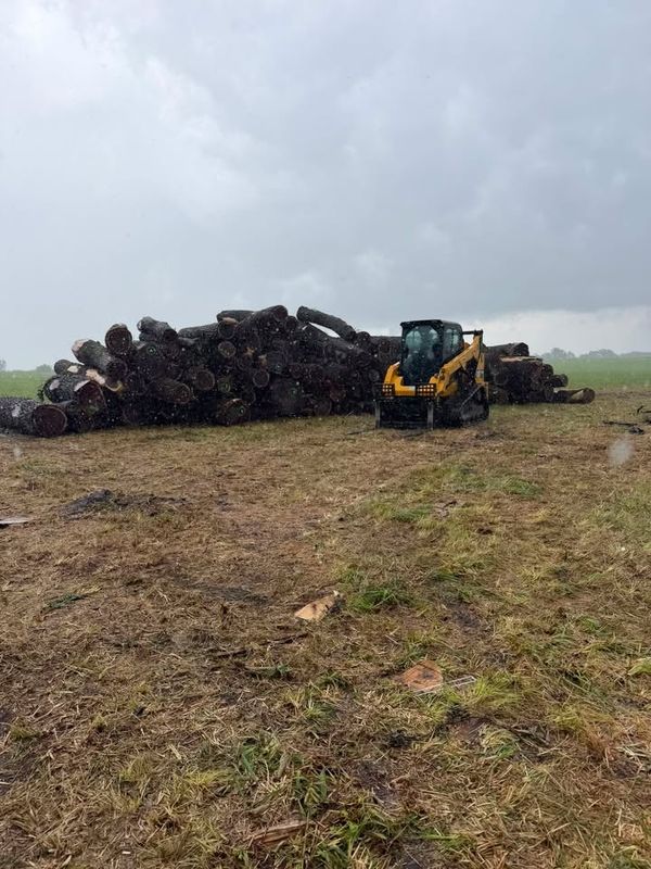 Land Clearing