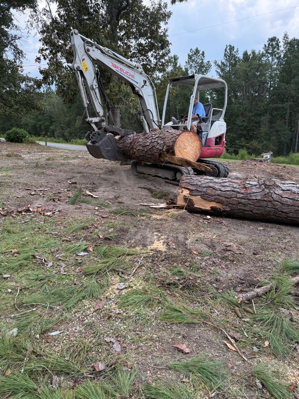 Tree Removal