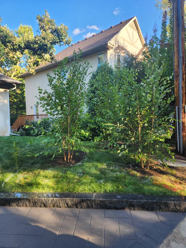 Landscaping 