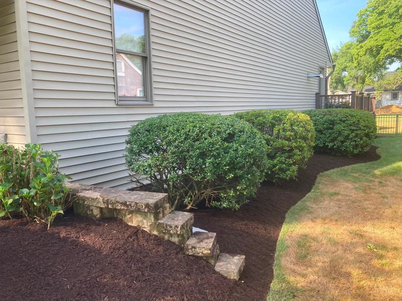 Tree & Shrub Care