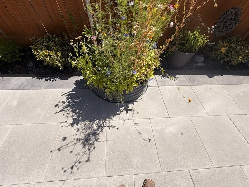Hardscape and Patios