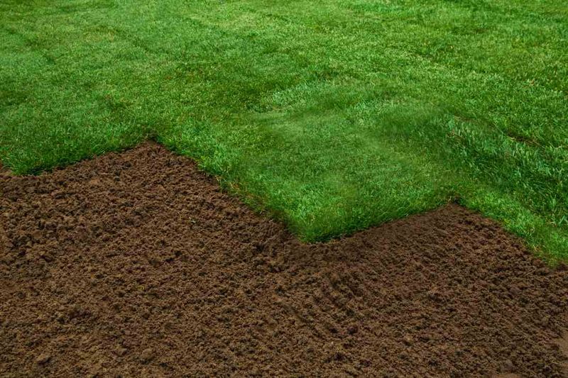 Sod Installation