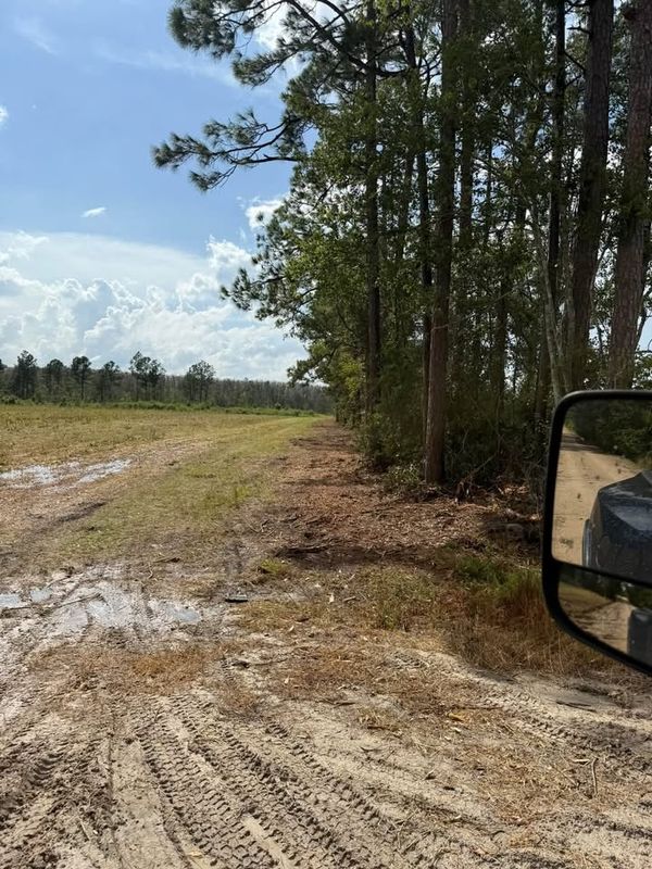 Land Clearing