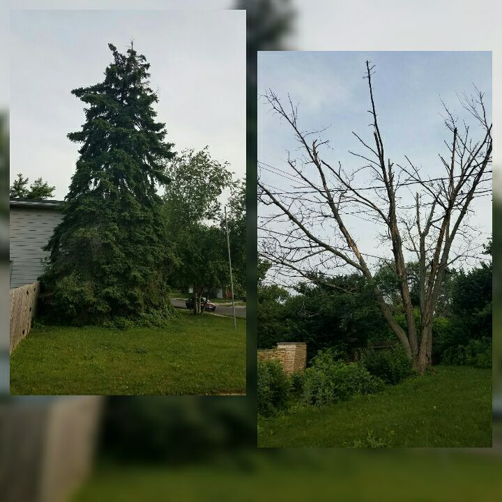Lawn Care