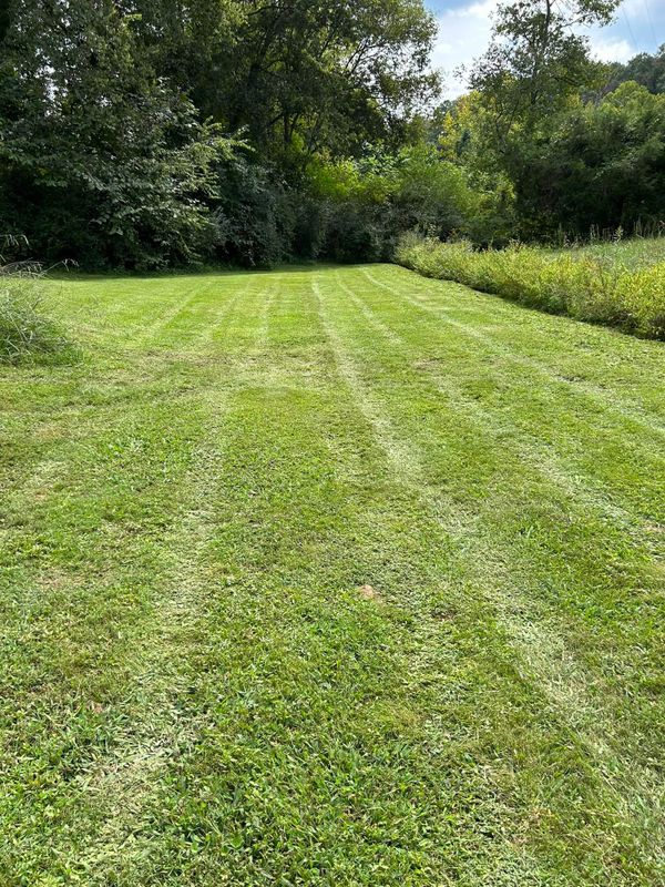 Landscaping