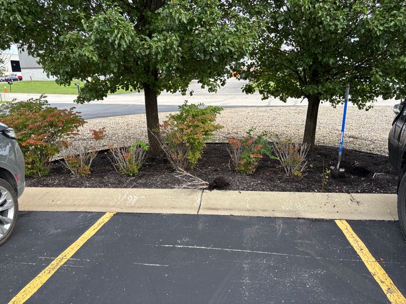 Landscaping and Irrigation Systems Repair