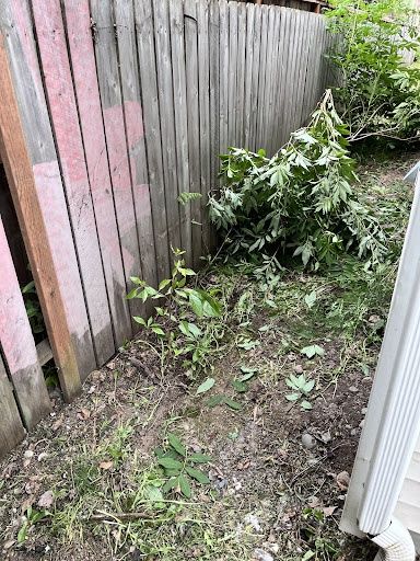 Yard Waste Removal