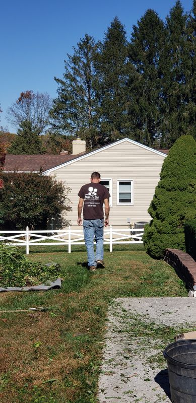 Lawn Care