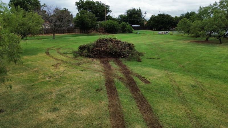 Wichita Falls Land Clearing Job