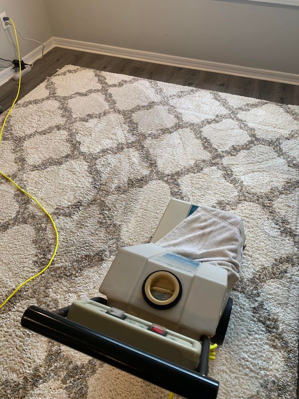 Carpet Cleaning