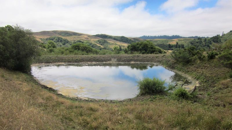 Pond Restoration