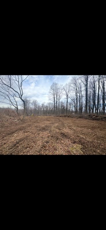 Land Clearing