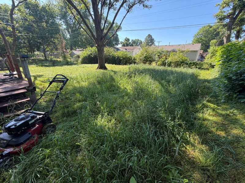 Lawn Maintenance
