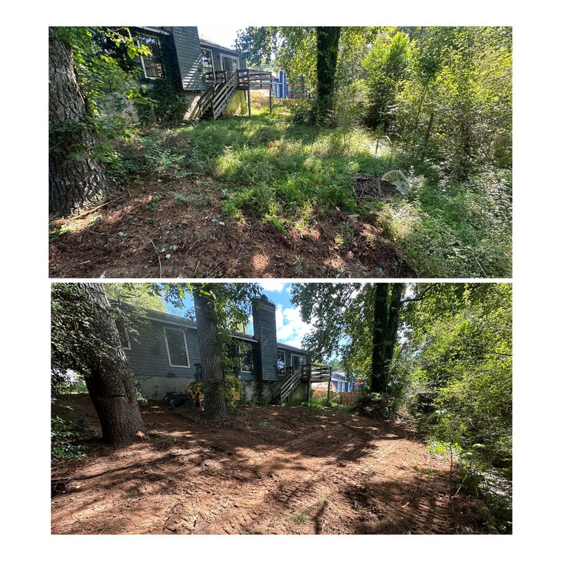 Forestry Mulching and Land Clearing