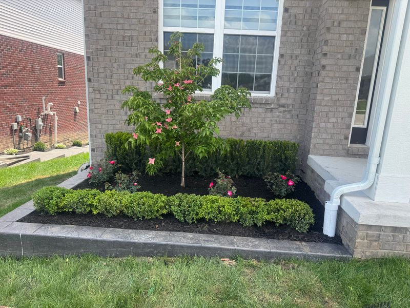 Mulch Installation
