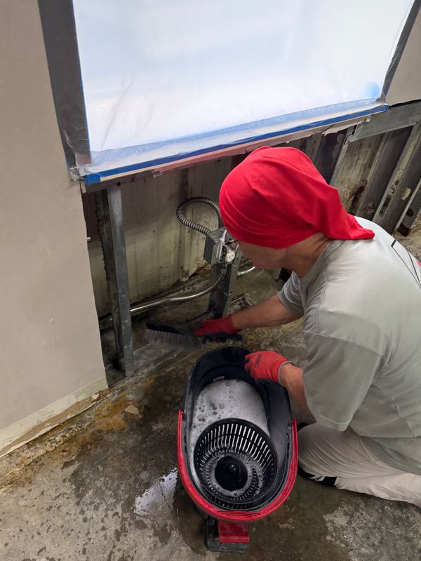 Mold Remediation