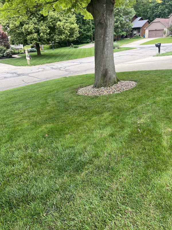 Mowing