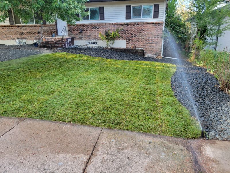 Sod Installation