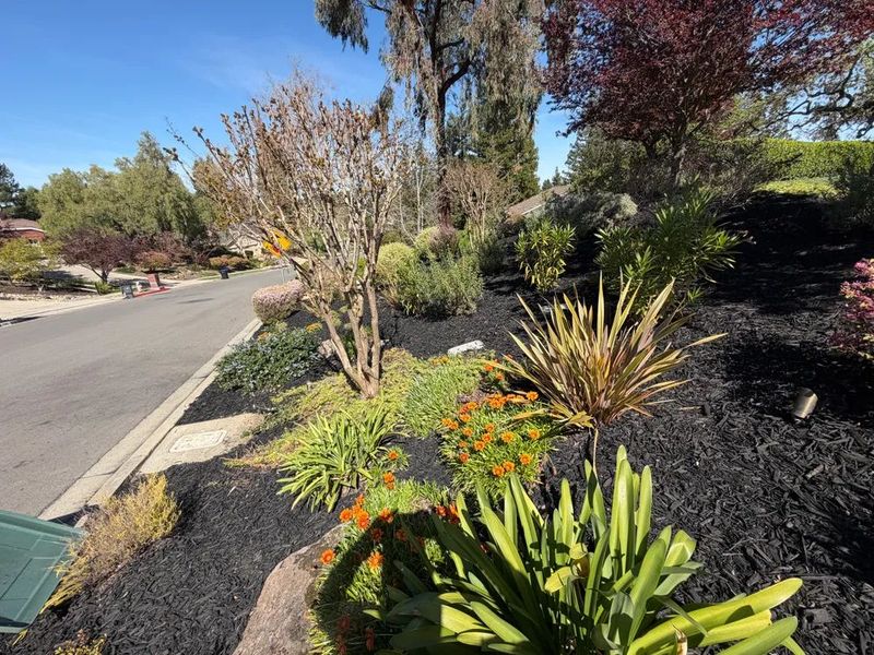 Mulch Installation