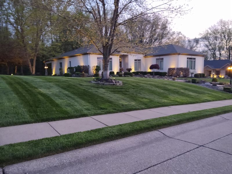 Lawn Maintenance Service