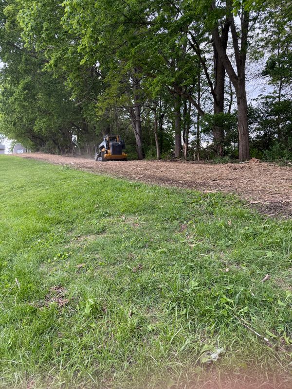 Forestry Mulching