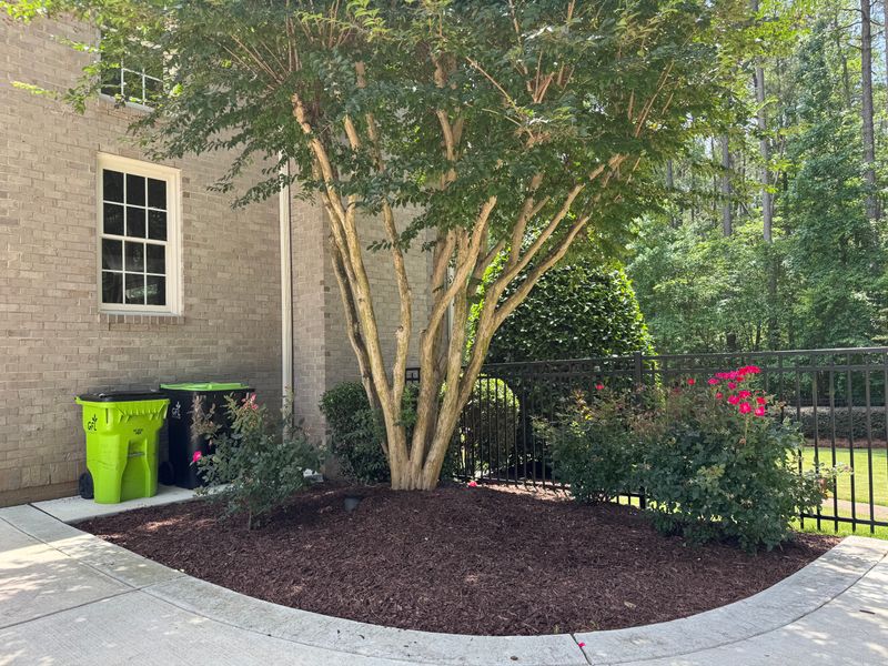 Shrub Trimming Gallery