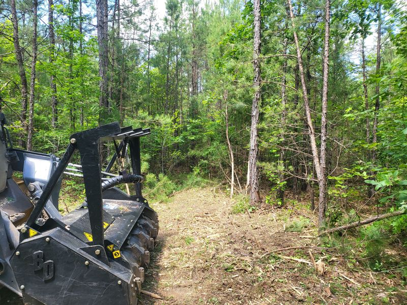 Land Clearing