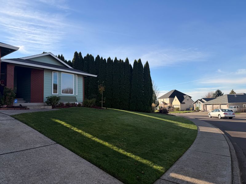 Lawn Aeration
