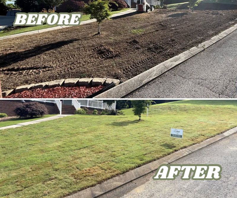 Fence Installation