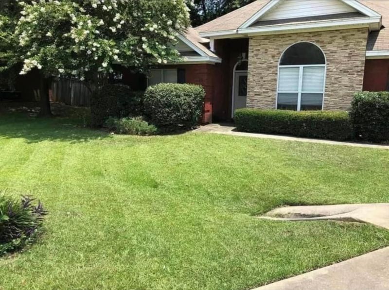 Landscape Maintenance