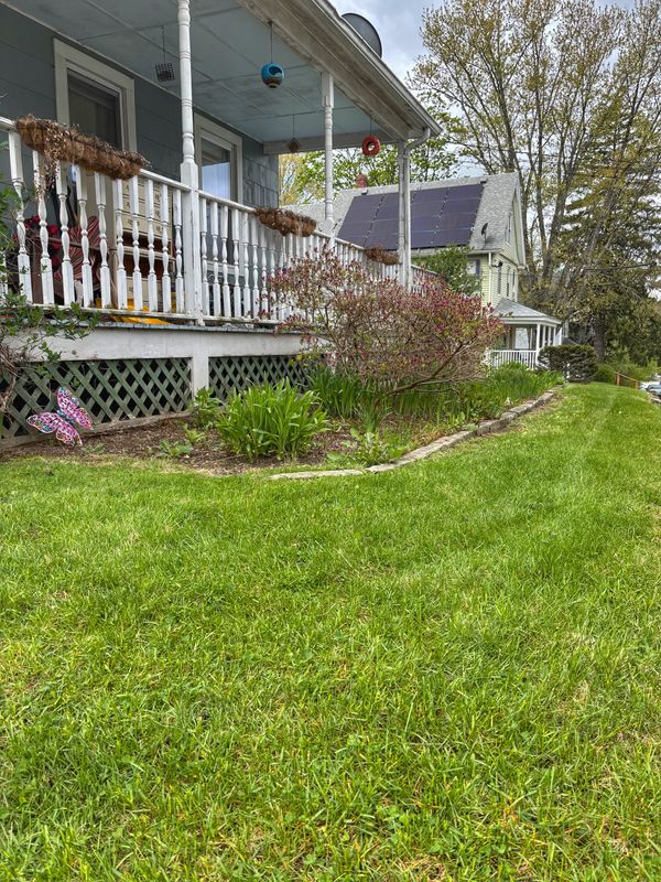 Lawn Maintenance