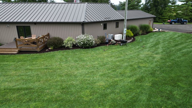 Lawn Care and Maintenance