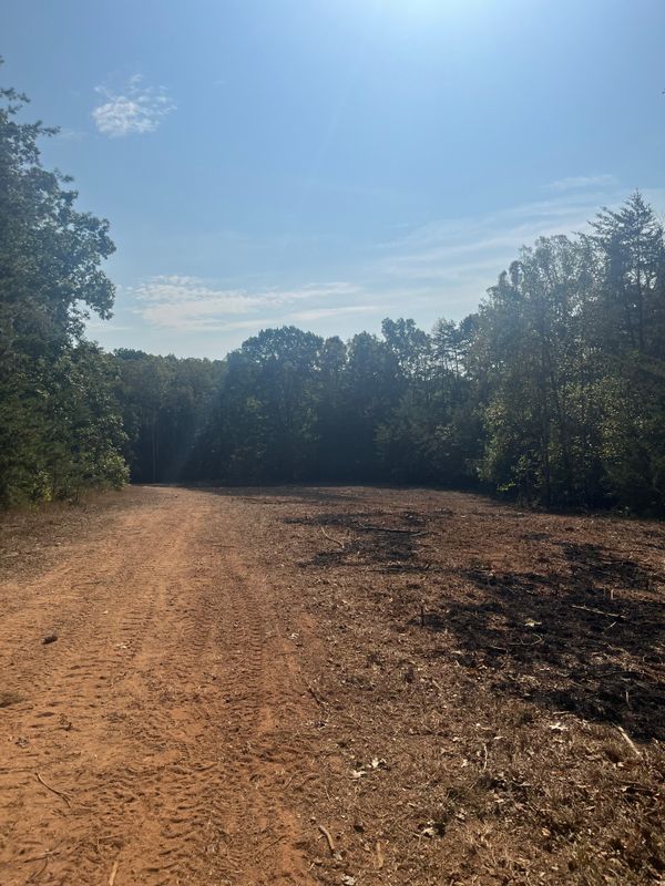 Brush cutting/clearing